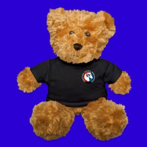DV Farm Road to Recovery teddy bear with a black t-shirt showing the front which is the DV Farm logo, the back which is not shown shows the interstate sign.